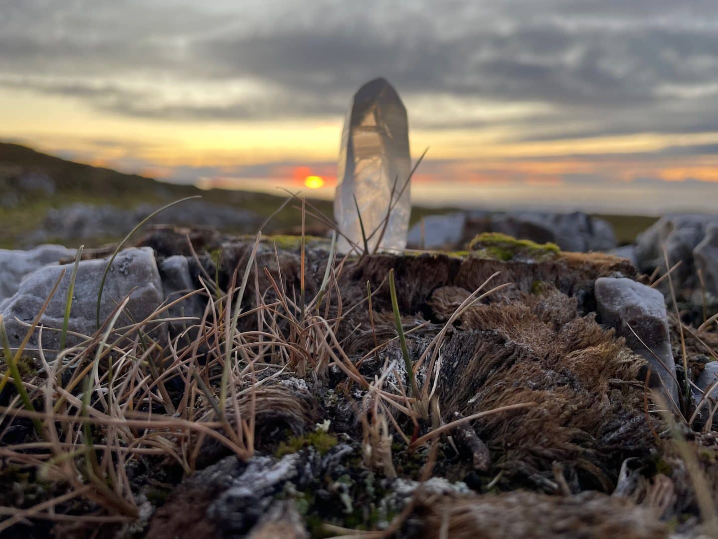 Forlandet Nationalpark, Svalbard, October 2024. Photo: Esther Harrison