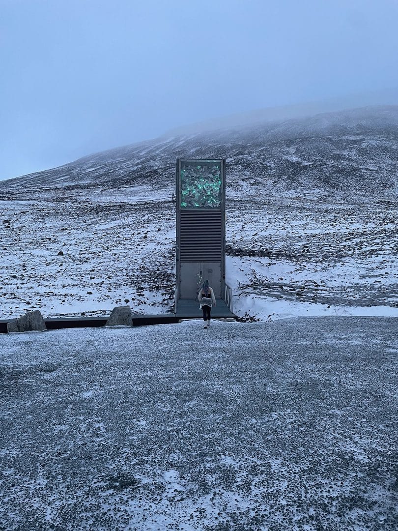 Svalbard Seed Vault, Longyearbyen, October 2024. Photo: Esther Harrison