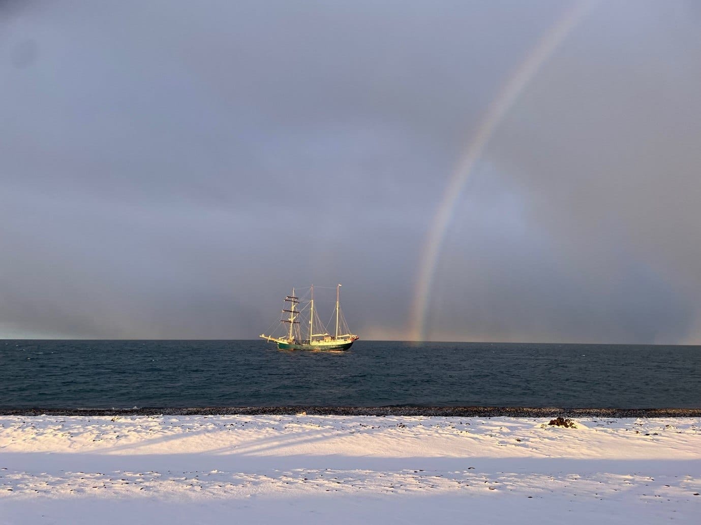 Moffen, Svalbard, October 2024. Photo: Esther Harrison